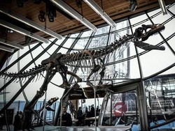 Kerangka Dinosaurus Misterius Terjual 2 Juta Euro pada Lelang di Paris