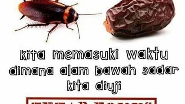 Kumpulan Meme Lucu Buat Kamu yang Fobia Kecoak
