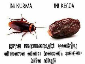 Kumpulan Meme Lucu Buat Kamu yang Fobia Kecoak