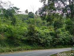 Waspada, Ini Kawasan Rawan Kecelakaan di Jalur Mudik Ciamis