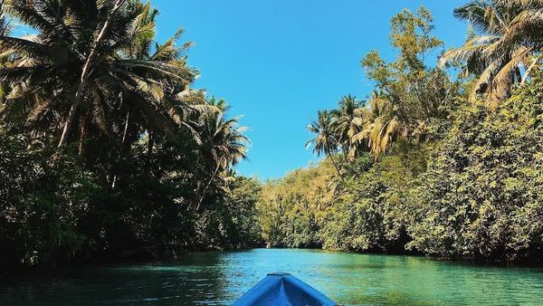 Mudik ke Pacitan, Bisa Main ke Sungai Amazon