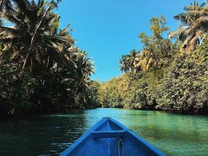 Mudik ke Pacitan, Bisa Main ke Sungai Amazon
