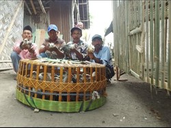 Lewat Cara Ini, Pemerintah Bantu Petani Keluar dari Kemiskinan