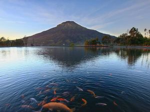 Begini Sisi Cantik Temanggung dari Embung Kledung