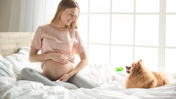 Alasan di Balik Anjuran Ibu Hamil Jangan Dekat-dekat Anjing