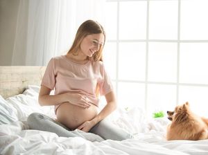Seekor Anjing Bisa Tahu Tanda-tanda Ibu Akan Melahirkan Lho