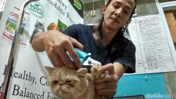 Titip Hewan Peliharaan Supaya Mudik Tenang