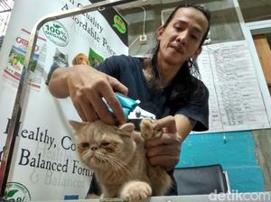 Titip Hewan Peliharaan Supaya Mudik Tenang