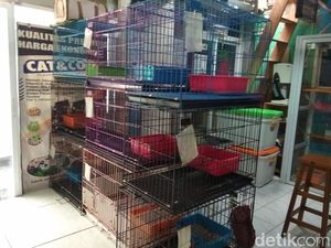 Manisnya Bisnis Penitipan Hewan Jelang Lebaran, Berapa Omzetnya? Manisnya Bisnis Penitipan Hewan Jelang Lebaran, Berapa Omzetnya?