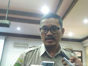 Bila Tersengat Ubur-ubur, Begini Cara Menanganinya