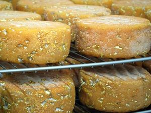 Inilah Keju Terbaik di Inggris yang Dibuat dari Susu Domba