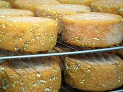 Inilah Keju Terbaik di Inggris yang Dibuat dari Susu Domba