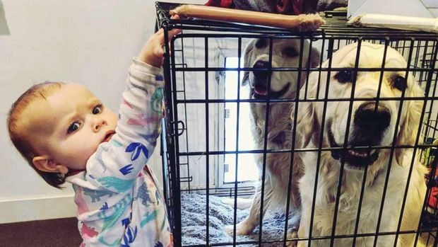 Chloe dan anjing peliharaannya
