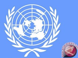Duh! Satu dari Tiga Staf PBB Alami Pelecehan Seksual