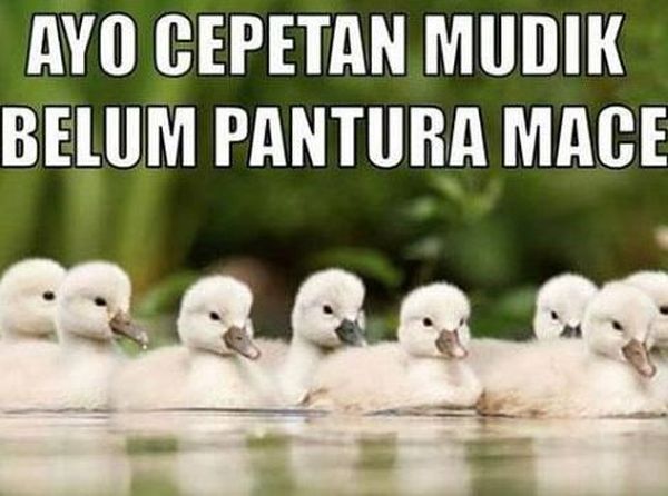 Jelang Libur Lebaran, Meme Mudik Ini Jadi Hiburan