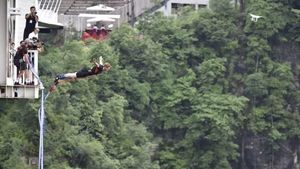 Foto: Bungee Jumping dari Jembatan Kaca Tertinggi Sedunia