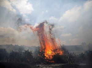 Teror Layang-layang Berapi Palestina Bikin Israel Kewalahan