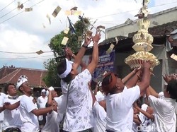 Berebut Tebaran Duit saat Tradisi Mesuryak di Bali