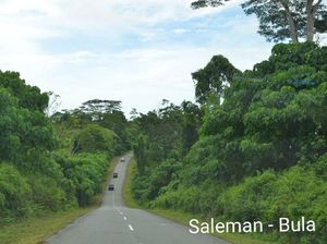 Mulus! Ini Lho Jalan Trans Maluku di Pulau Seram