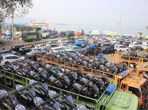 Pemangkasan Izin Usaha Jokowi Dianggap Terburu-buru dan Dipaksakan Pemangkasan Izin Usaha Jokowi Dianggap Terburu-buru dan Dipaksakan