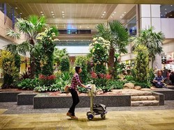 Jarang-jarang nih Bandara Changi Gangguan, Penumpang pun Kesal