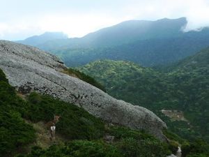 Foto: Pulau Surga Ala Jepang