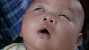 Kumpulan Gambar Lucu Hadapi Ngantuk dan Lelah Saat Mudik
