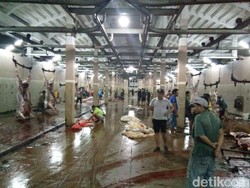 Antisipasi Harga Daging Naik, RPH Tambah Jumlah Hewan yang Dipotong