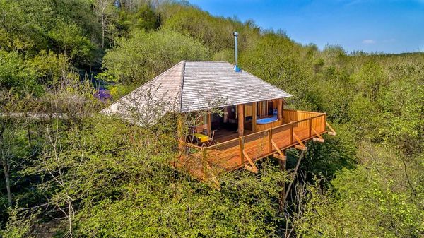 Foto: Ini Rumah Pohon atau Hotel Bintang 5?