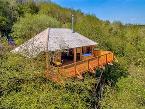 Foto: Ini Rumah Pohon atau Hotel Bintang 5?