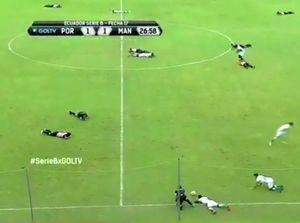 Laga Sepakbola Diserbu Lebah, Pemain dan Wasit Tiarap Ramai-ramai