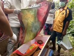 Ritual Manene: Bukti Cinta Sampai Mati Orang Toraja