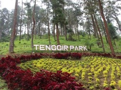 Mudik ke Karanganyar, Ada Tenggir Park yang Instagramable