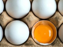 Jerman Temukan Puluhan Ribu Telur Terkontaminasi Insektisida