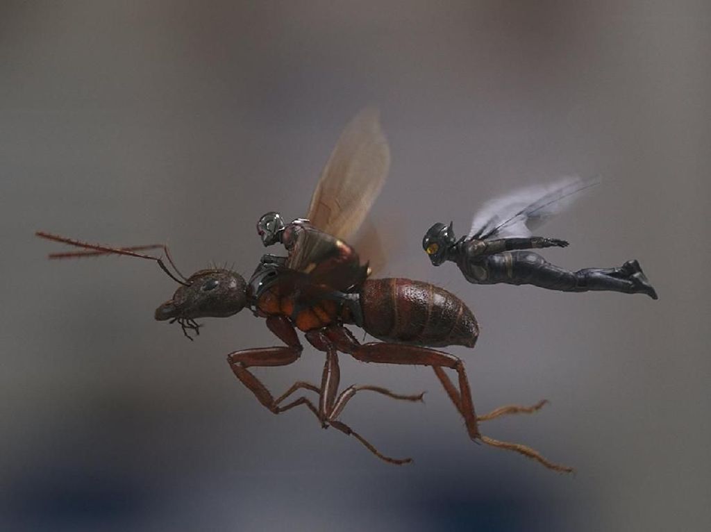 Ant-Man Disebut-sebut Usai Debat Cawapres AS Diinterupsi Lalat