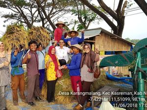 Kementan Pantau Produksi di Sentra Padi