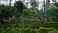Umbul Sidomukti Semarang, Tempat Liburan Usai Salat Id