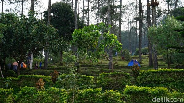 Umbul Sidomukti Semarang, Tempat Liburan Usai Salat Id