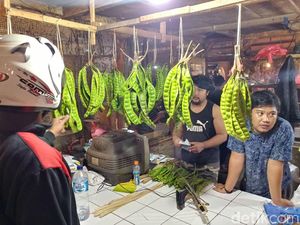 Harga Petai di Bandung  Semakin Semerbak Rp 300 Ribu Per Kg Harga Petai di Bandung  Semakin Semerbak Rp 300 Ribu Per Kg