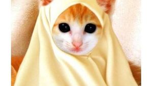 Meme Kocak Netizen Soal Baju Lebaran