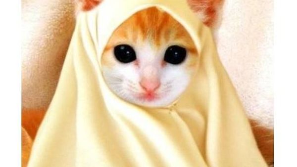 Meme Kocak Netizen Soal Baju Lebaran