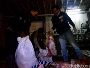 202 Kg Daging Gelonggongan Disita dari Penyuplai di Magelang 202 Kg Daging Gelonggongan Disita dari Penyuplai di Magelang