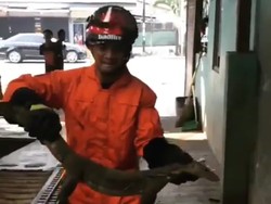 2 Ekor Biawak Ditangkap di Samping Rumah Walkot Jakbar