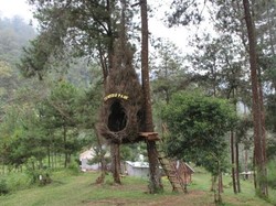 Spot Foto Kekinian di Dekat Solo