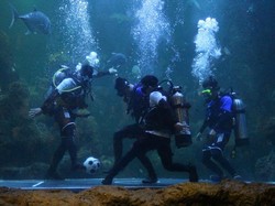 Sambut Piala Dunia, Seaworld Hadirkan Atraksi Juggling Bola Dalam Air
