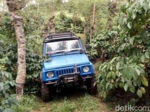 Habiskan Akhir Pekan dengan Main Mobil Offroad, Ini Tipsnya