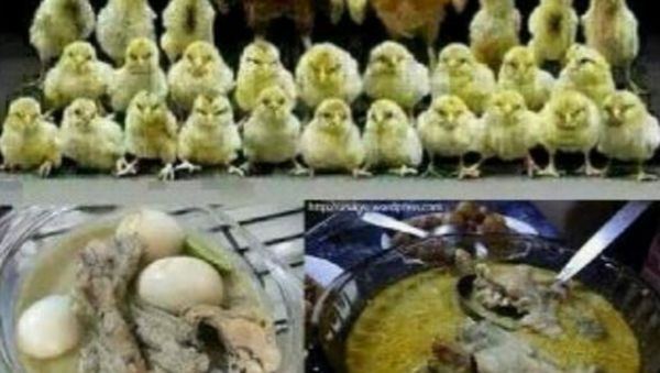 Meme Lebaran Ini Tak Lekang Oleh Waktu