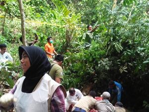 KLHK dan Polda Aceh Usut Tuntas Kematian Gajah Bunta