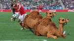 Digilas Rusia, Arab Saudi Juga Dihajar Meme