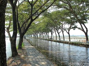 Mudik Lewat Kendal, Ada Saluran Irigasi yang Instagramable